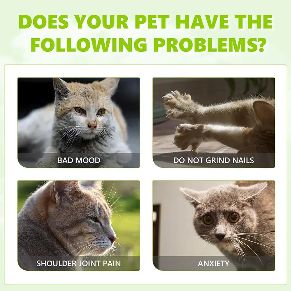 Cat Mint Spray Alleviates Cat's Anxiety and Increases Pet's Vitality Health Care Spray Cat Supplies Pet Health Care