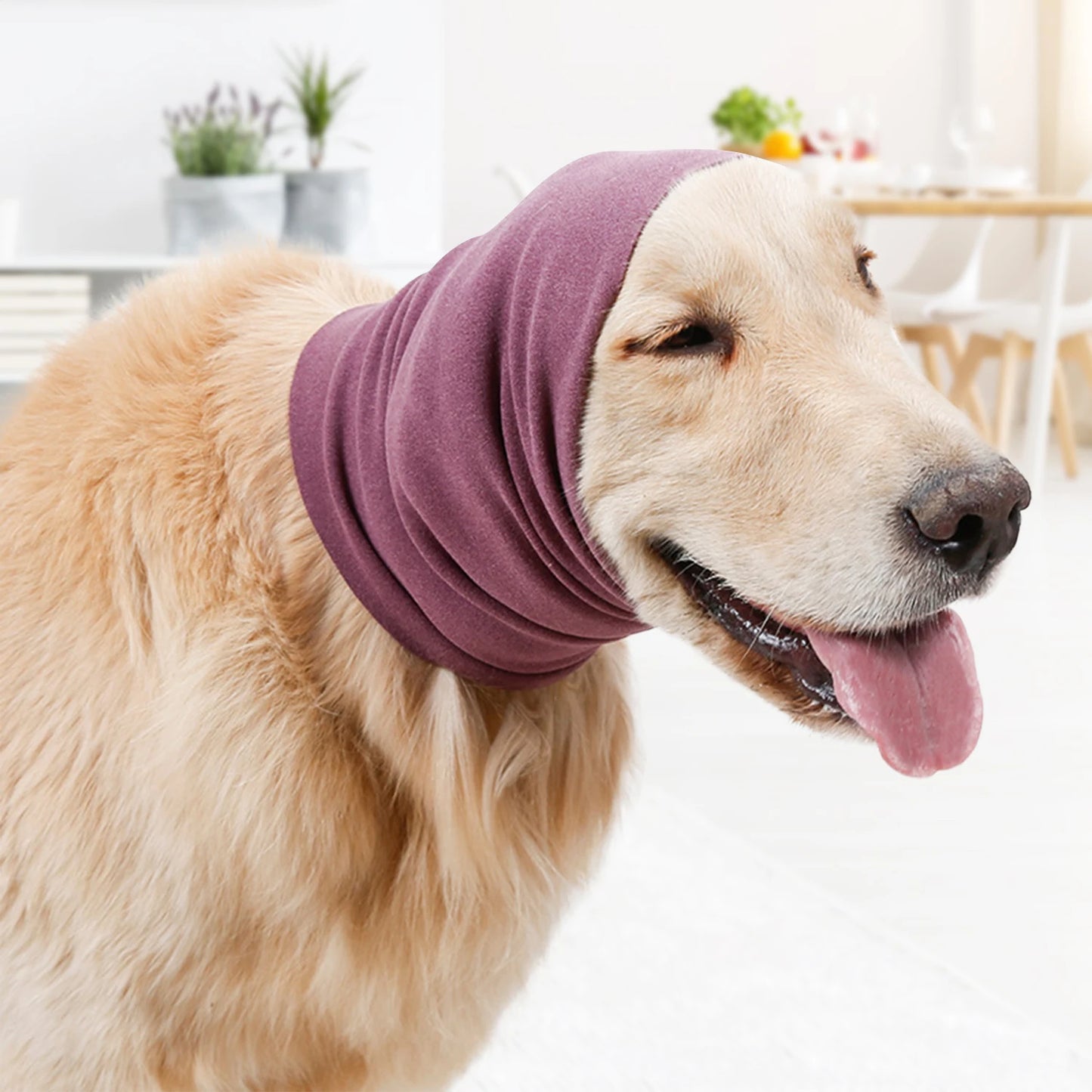 Pet earmuffs, relieve anxiety, comb hair bath, hairdryer, calm earmuffs, reduce noise, cat and dog ear protectors