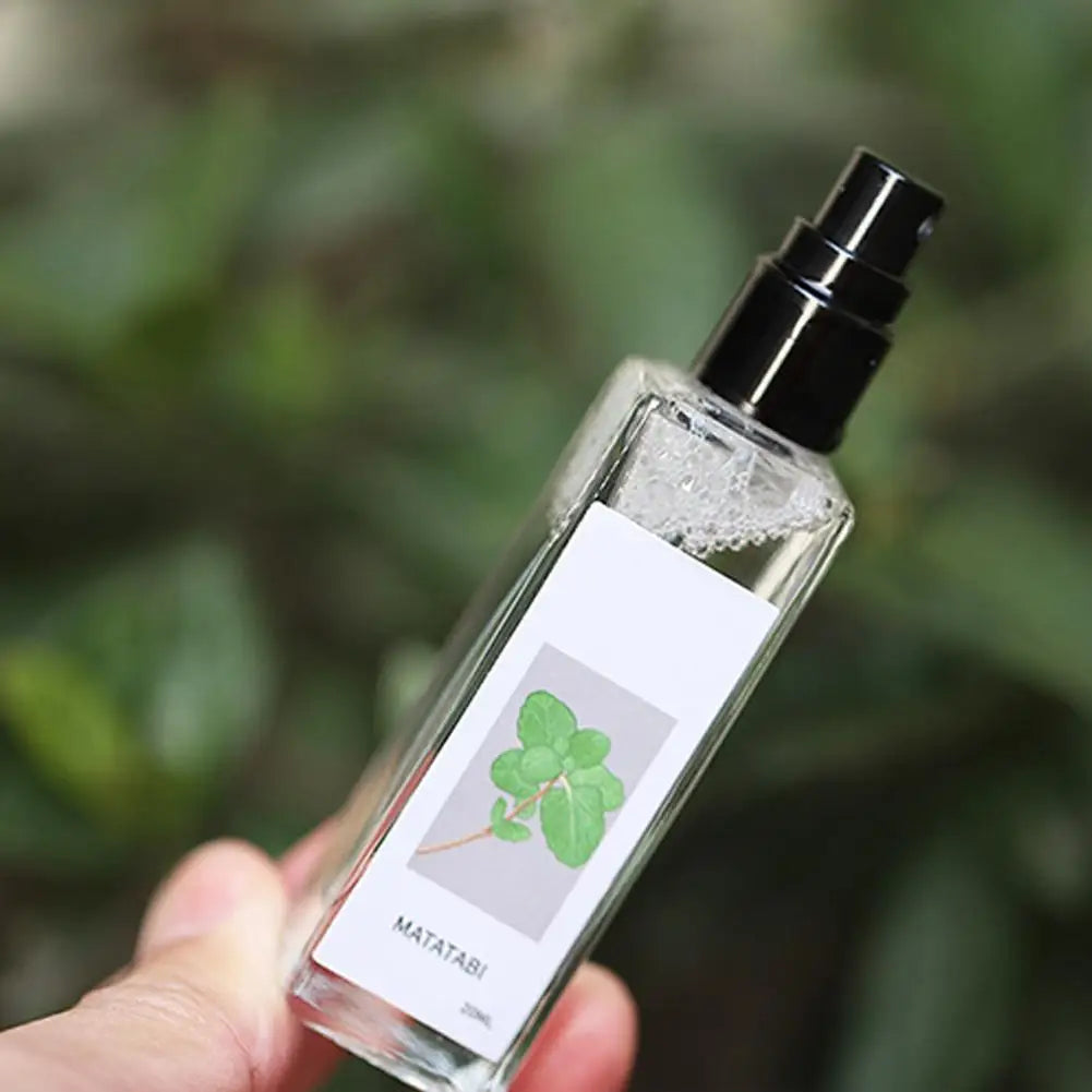 Cat Mint Spray Alleviates Cat's Anxiety and Increases Pet's Vitality Health Care Spray Cat Supplies Pet Health Care
