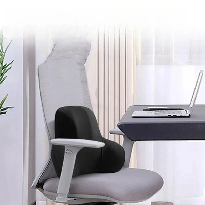 Two-In-One Memory Slow Rebound Lumbar Support Cushion for Lower Back Pain Relief Scientifically Designed Arc Shape
