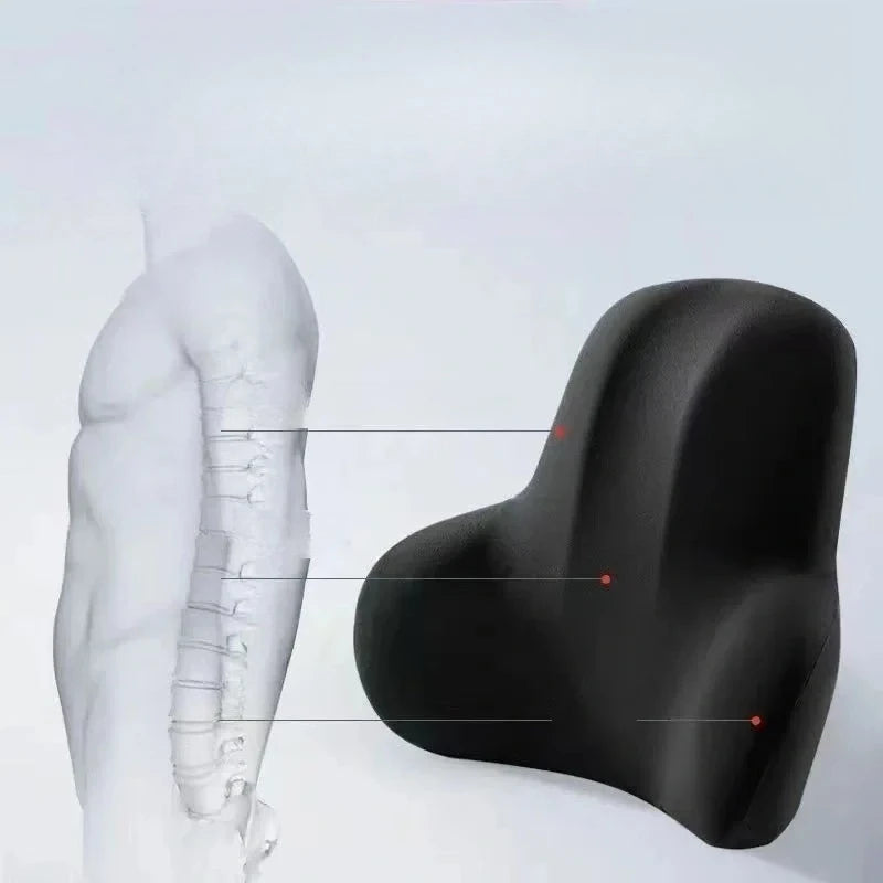 Two-In-One Memory Slow Rebound Lumbar Support Cushion for Lower Back Pain Relief Scientifically Designed Arc Shape
