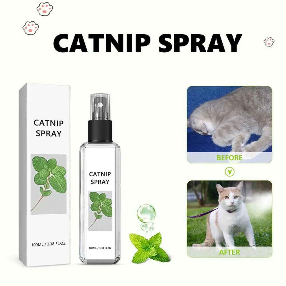 Cat Mint Spray Alleviates Cat's Anxiety and Increases Pet's Vitality Health Care Spray Cat Supplies Pet Health Care