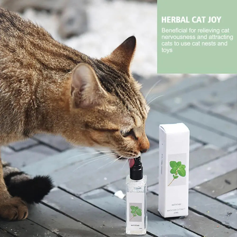 Cat Mint Spray Alleviates Cat's Anxiety and Increases Pet's Vitality Health Care Spray Cat Supplies Pet Health Care