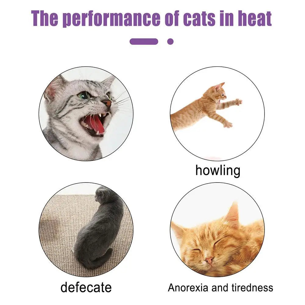 Pet Calming Spray Pet Supplies Pets Pheromone Calming Spray Improve Estrus Agitation Pet Anxiety Relief Spray Cat Dog Health