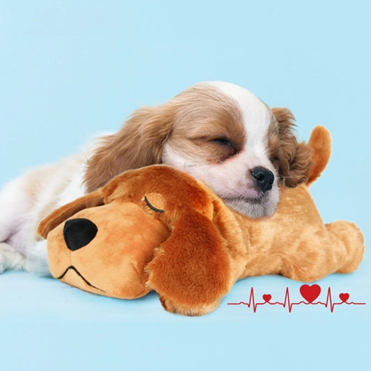 New Pet Soothing Toy Dog Anxiety Companionship Sleep Simulated Heartbeat Plush Toys Pet Dog Products