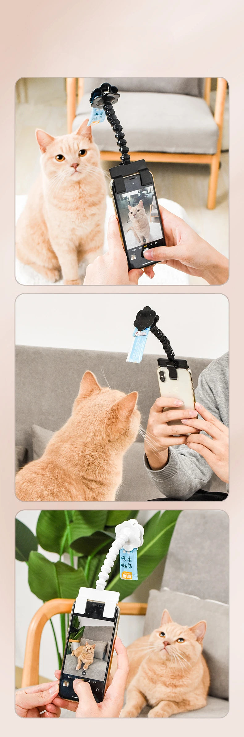 Pet Selfie Stick with Snack Holder 360 Rotation Phone Clip for Dogs Cats Attract Pets Look At Lens One Hand Pet Photography Tool