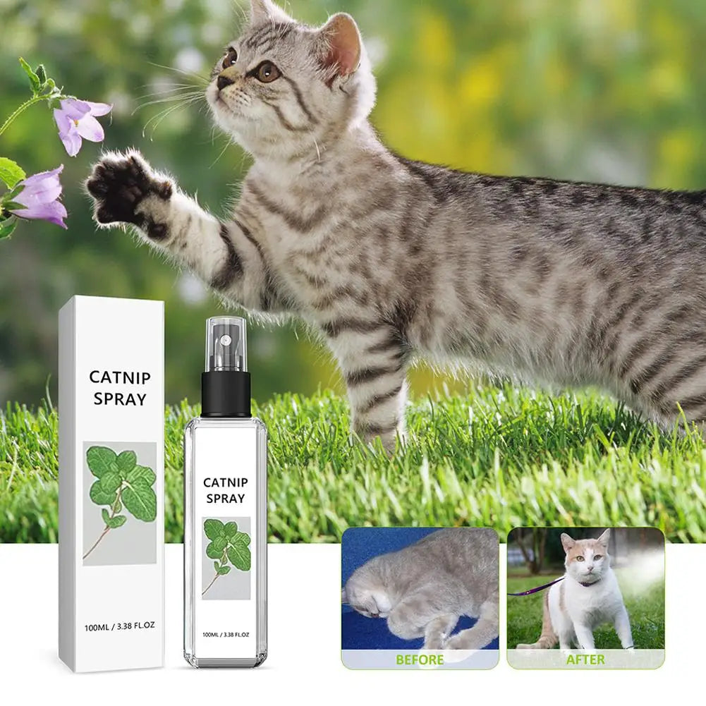 Cat Mint Spray Alleviates Cat's Anxiety and Increases Pet's Vitality Health Care Spray Cat Supplies Pet Health Care