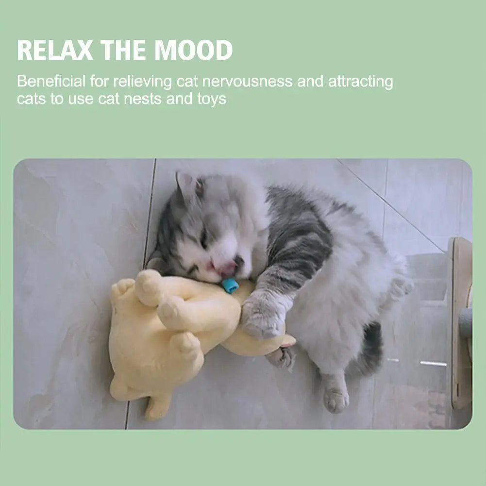 Cat Mint Spray Alleviates Cat's Anxiety and Increases Pet's Vitality Health Care Spray Cat Supplies Pet Health Care