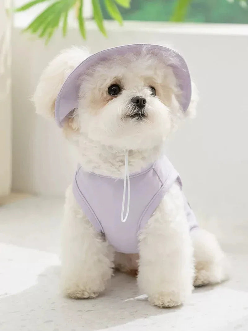 New Pet Dog Summer Vest with Cap Cooling Breathable Sun Protective UV Shirt for Dogs&Cats，Lightweight Outdoor Pet Clothes Set