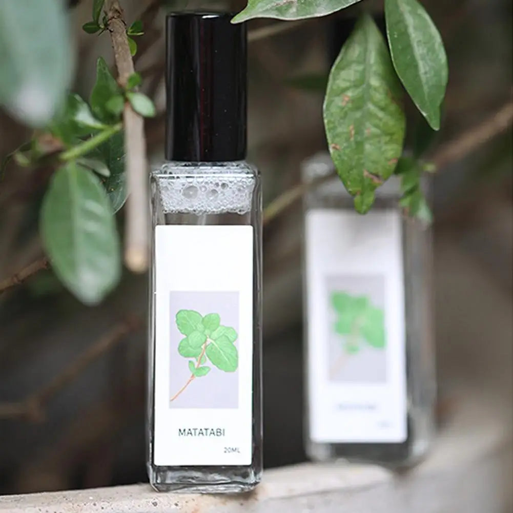Cat Mint Spray Alleviates Cat's Anxiety and Increases Pet's Vitality Health Care Spray Cat Supplies Pet Health Care