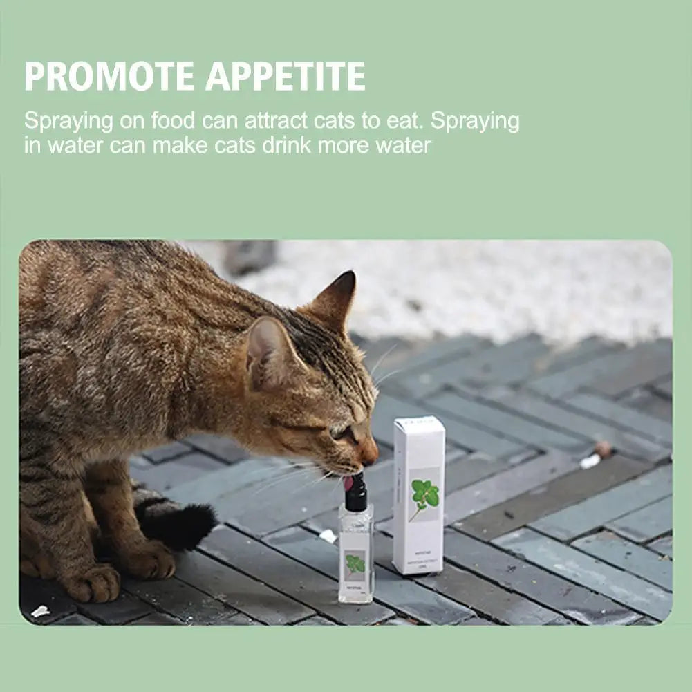 Cat Mint Spray Alleviates Cat's Anxiety and Increases Pet's Vitality Health Care Spray Cat Supplies Pet Health Care